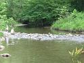 Stream crossing
